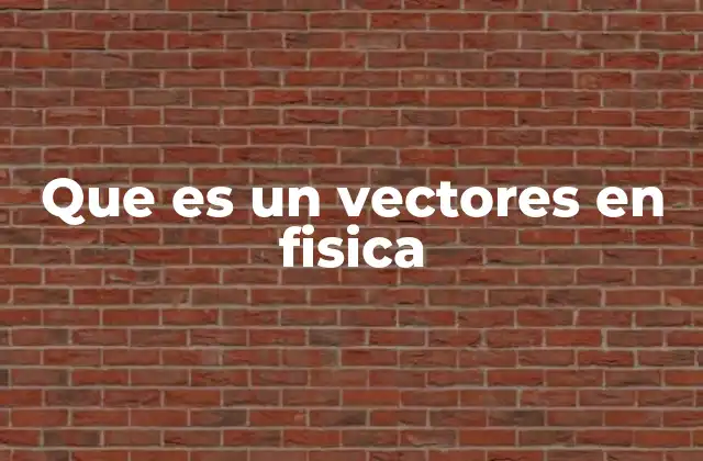 Que es un Vectores en Fisica