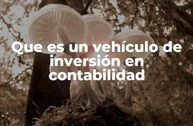 Que es un Vehículo de Inversión en Contabilidad 2 El rol de los vehículos de inversión en la gestión financiera