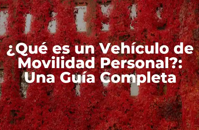 Definición y Características de un Vehículo de Movilidad Personal