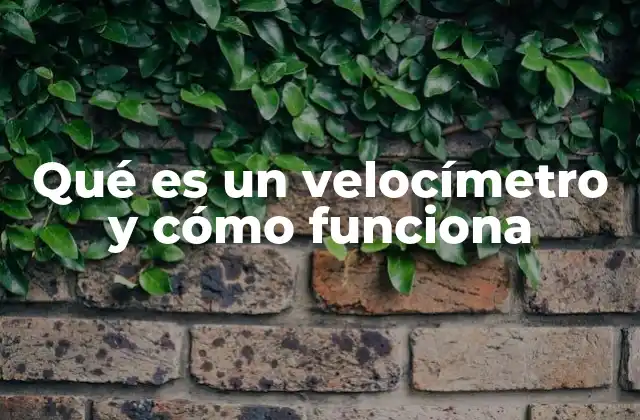 El velocímetro como herramienta de seguridad en la conducción