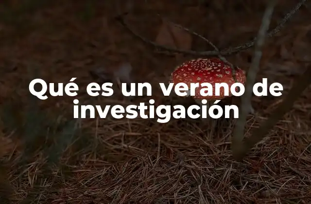 Qué es un Verano de Investigación