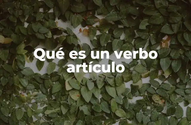 Qué es un Verbo Artículo