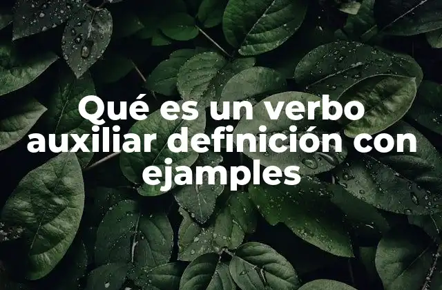Qué es un Verbo Auxiliar Definición con Ejamples