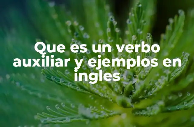 Que es un Verbo Auxiliar y Ejemplos en Ingles 2 Cómo los verbos auxiliares funcionan en el inglés moderno
