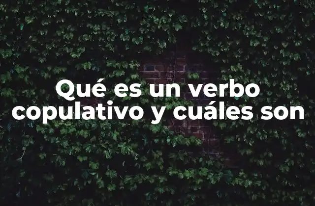 Qué es un Verbo Copulativo y Cuáles Son
