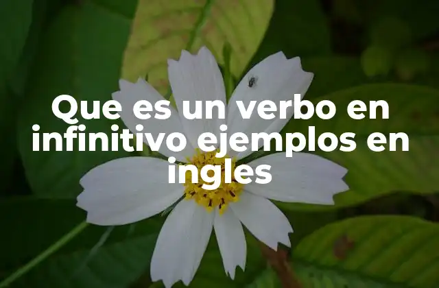 El rol del infinitivo en la construcción de oraciones en inglés