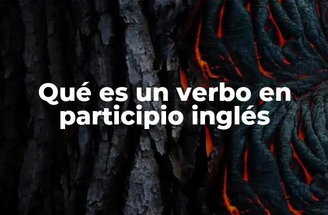 El papel del participio en la formación de tiempos verbales