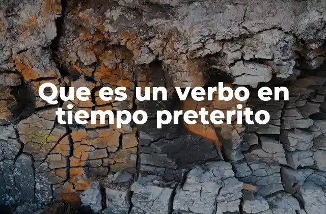 Que es un Verbo en Tiempo Preterito