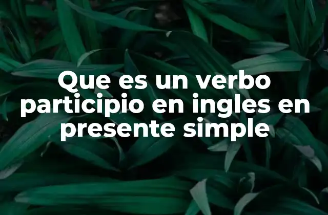 Que es un Verbo Participio en Ingles en Presente Simple