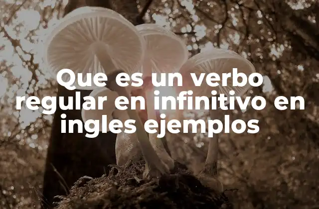 Que es un Verbo Regular en Infinitivo en Ingles Ejemplos