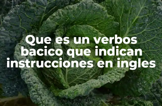 La importancia de los verbos imperativos en la comunicación directa