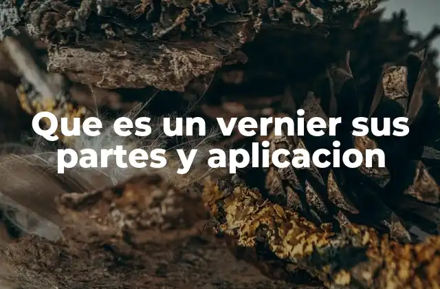 Que es un Vernier Sus Partes y Aplicacion 2 Aplicaciones prácticas del vernier en la vida cotidiana y en industria