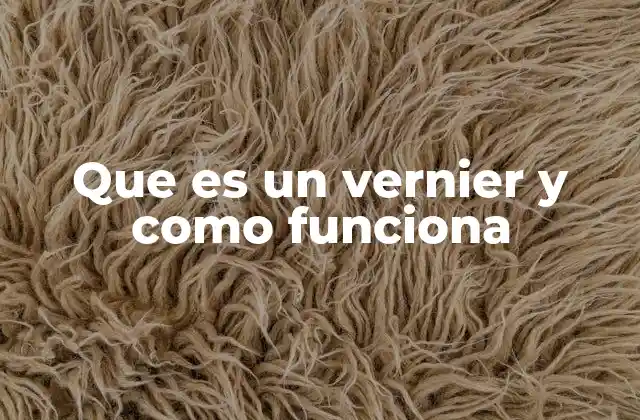 Que es un Vernier y como Funciona