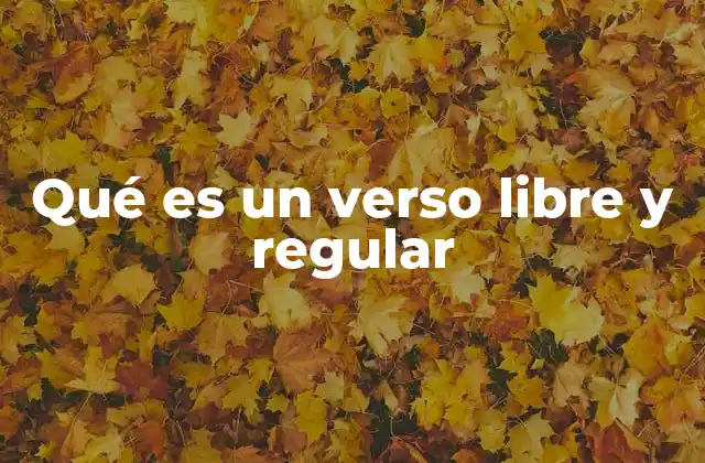 Qué es un Verso Libre y Regular