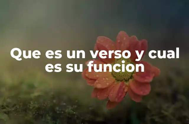 Que es un Verso y Cual es Su Funcion