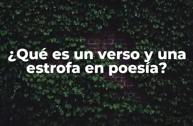 ¿qué es un Verso y una Estrofa en Poesía?