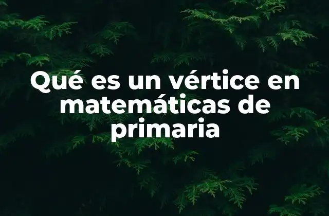 Qué es un Vértice en Matemáticas de Primaria