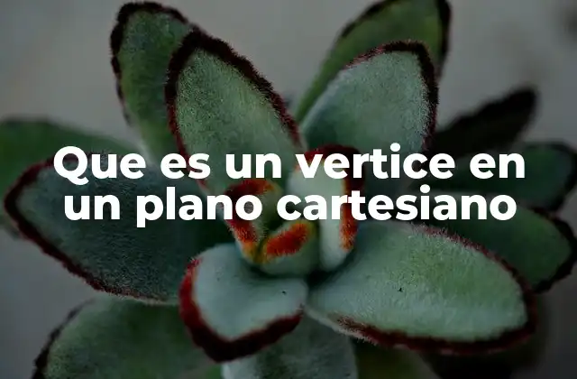 Que es un Vertice en un Plano Cartesiano