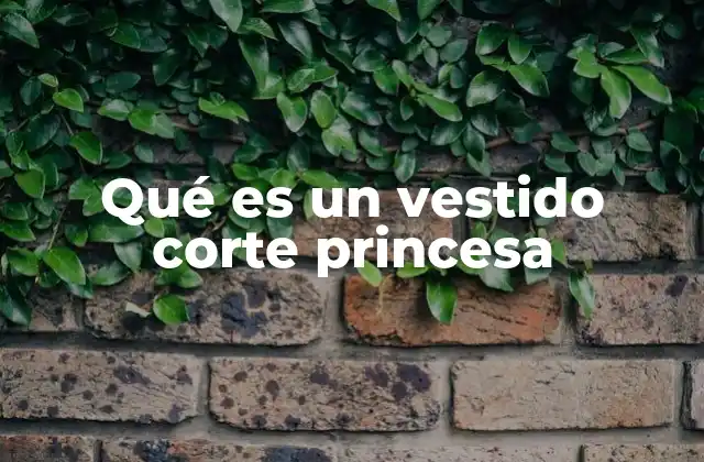 Características principales del vestido corte princesa