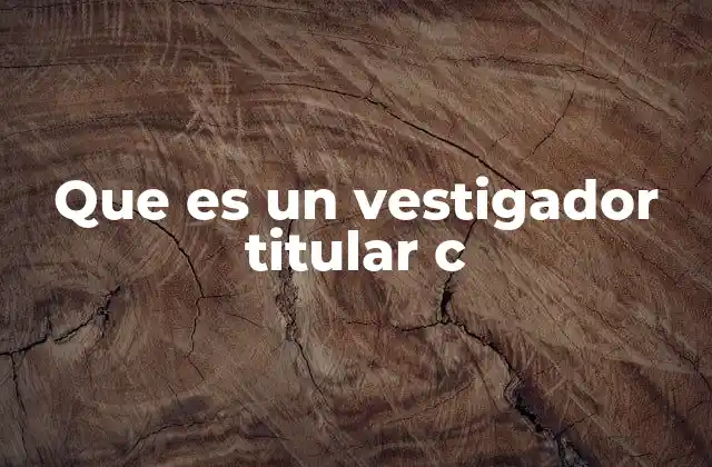 Que es un Vestigador Titular C
