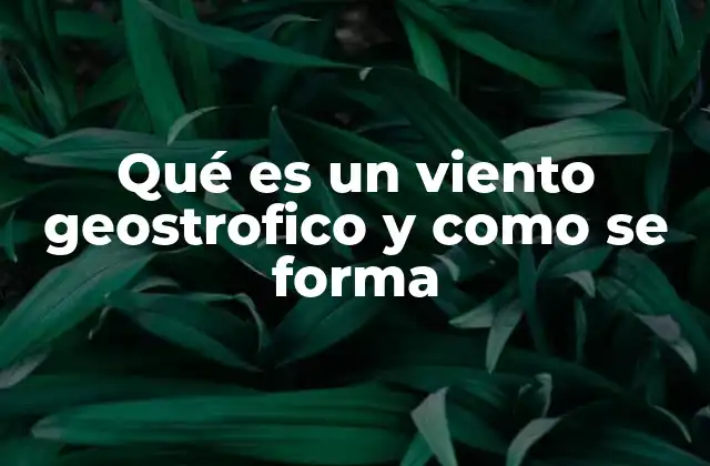 Qué es un Viento Geostrofico y como Se Forma 2 El equilibrio entre fuerzas atmosféricas