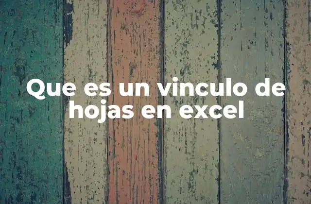Que es un Vinculo de Hojas en Excel