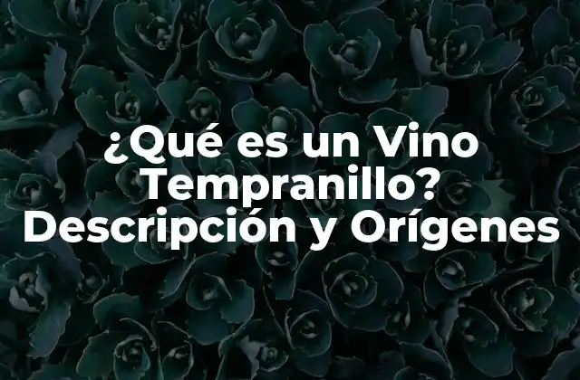 ¿qué es un Vino Tempranillo? Descripción y Orígenes