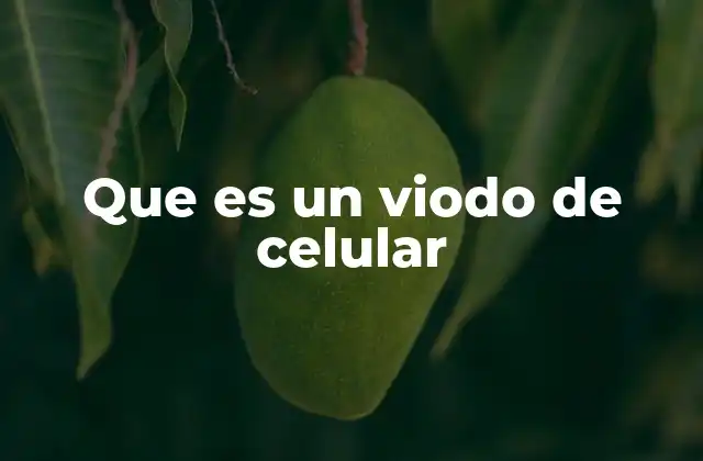 Que es un Viodo de Celular