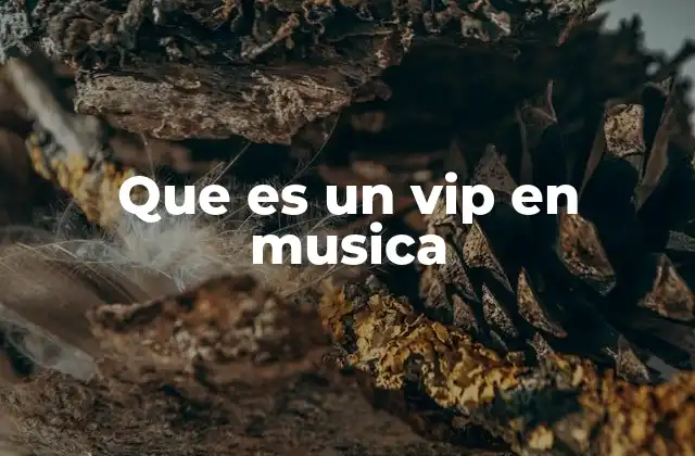 Que es un Vip en Musica