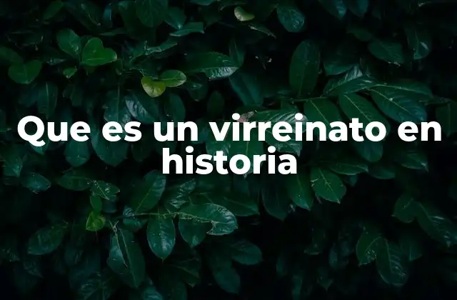 Que es un Virreinato en Historia