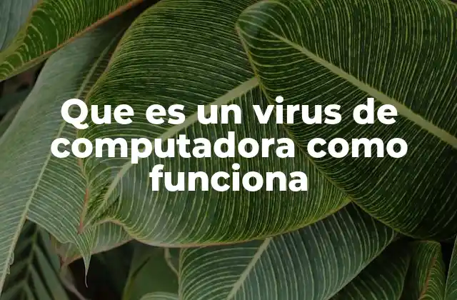 Que es un Virus de Computadora como Funciona