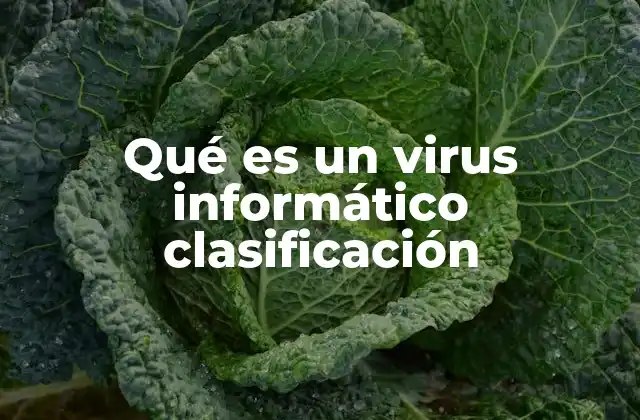 Tipos de virus informáticos y su clasificación