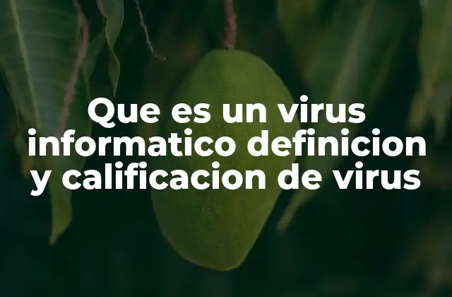 Que es un Virus Informatico Definicion y Calificacion de Virus