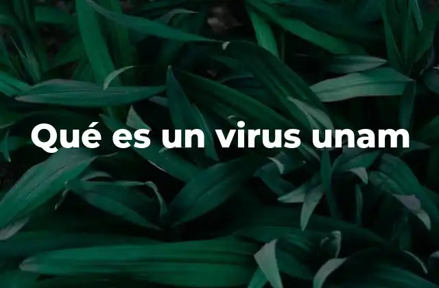 Qué es un Virus Unam