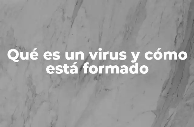 Qué es un Virus y Cómo Está Formado