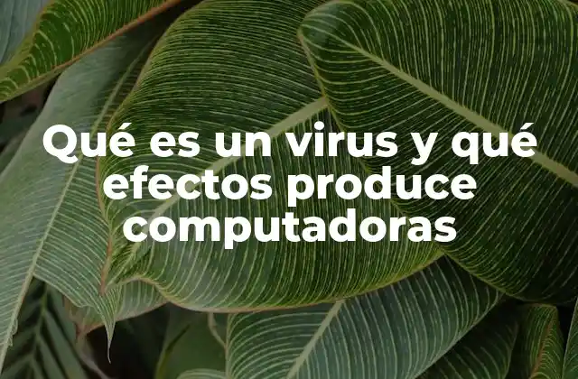 Qué es un Virus y Qué Efectos Produce Computadoras