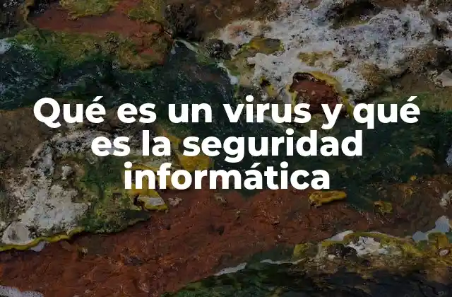 Qué es un Virus y Qué es la Seguridad Informática