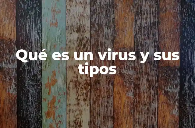 Qué es un Virus y Sus Tipos