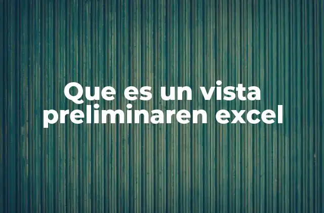 Que es un Vista Preliminaren Excel