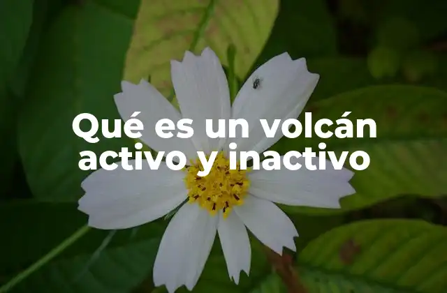 Qué es un Volcán Activo y Inactivo