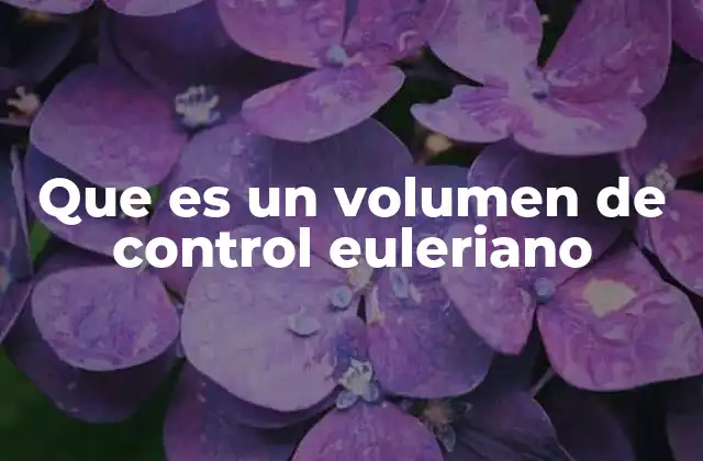 Que es un Volumen de Control Euleriano