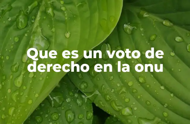 Que es un Voto de Derecho en la Onu