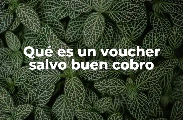 La importancia del voucher en garantías de pago