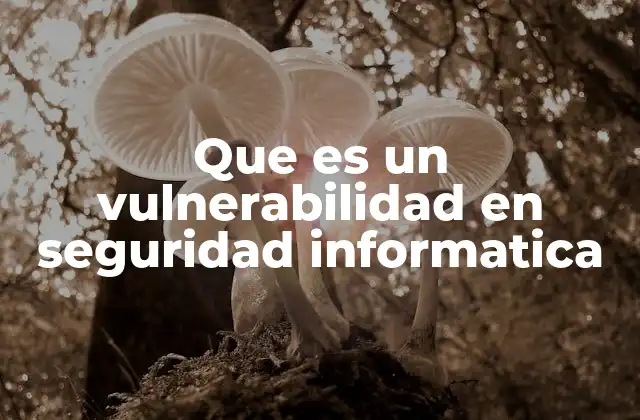 Que es un Vulnerabilidad en Seguridad Informatica