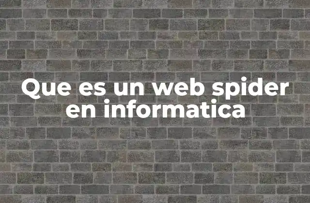 Que es un Web Spider en Informatica