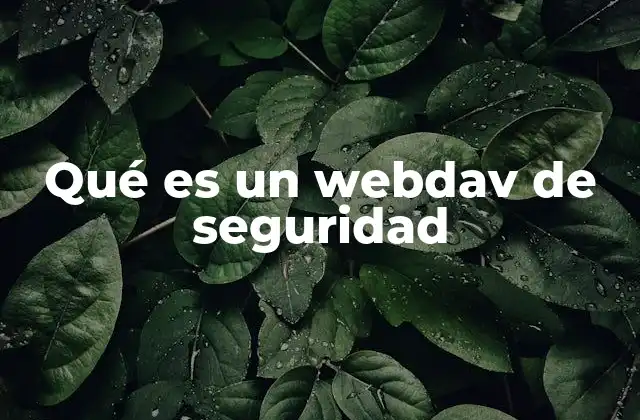Qué es un Webdav de Seguridad