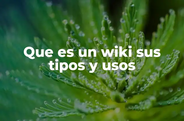 Que es un Wiki Sus Tipos y Usos