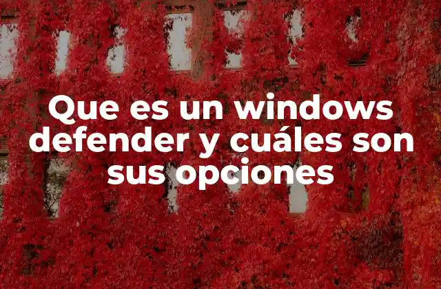 Que es un Windows Defender y Cuáles Son Sus Opciones