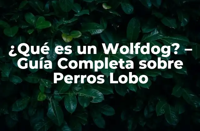 Historia y Orígenes de los Wolfdogs
