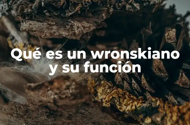 Qué es un Wronskiano y Su Función